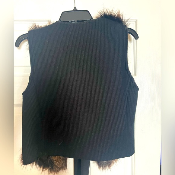 Ann Taylor Fur Vest - Picture 3 of 3